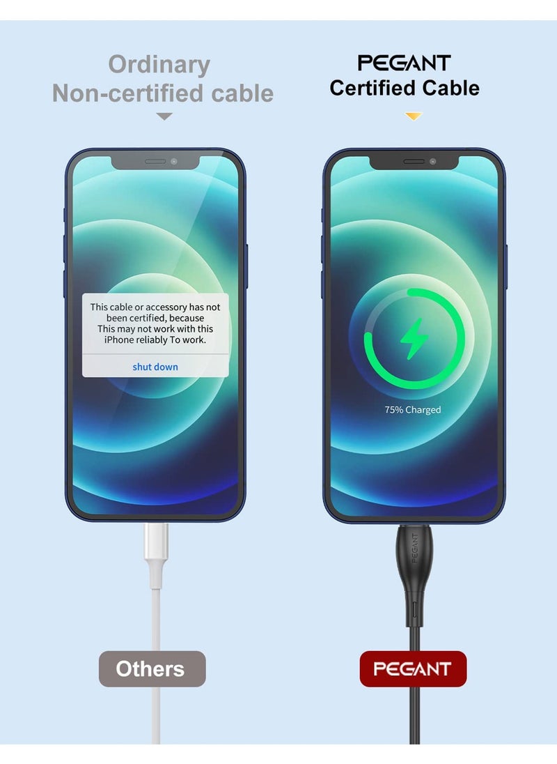 PEGANT USB-C to Lightning Cable for iPhone, Fast Charging, Liquid Silicon, 1M  - Image 5