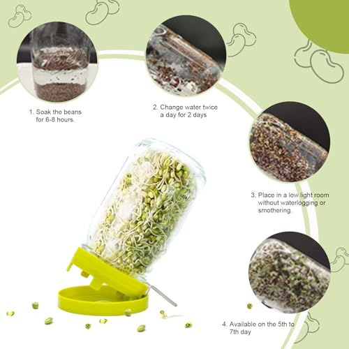 HANTUSWUS Wide Mouth Mason Jar Sprouting Kit with Sprouting Lids and Drainage Tray - Ideal for Bean, Alfalfa Sprouts and Microgreens, Vertical and Angled Placement Support（One lid and one drip tray） - Image 3