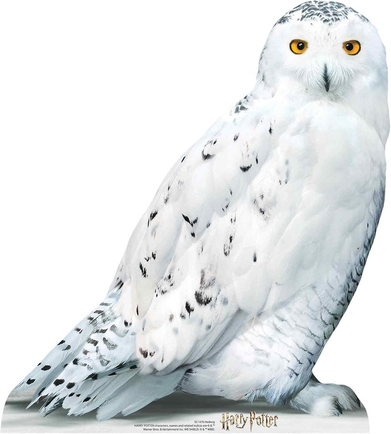 BPA Hedwig Star Mini Lifesize Cardboard Cutout - Image 1