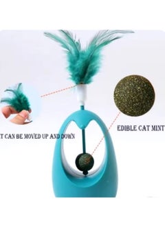 Interactive Cat Herb and Feather Toy - pzsku/Z53B0967E08B9F54644E5Z/45/_/1736533083/4ea49354-862f-48aa-afdb-0214b39bff13