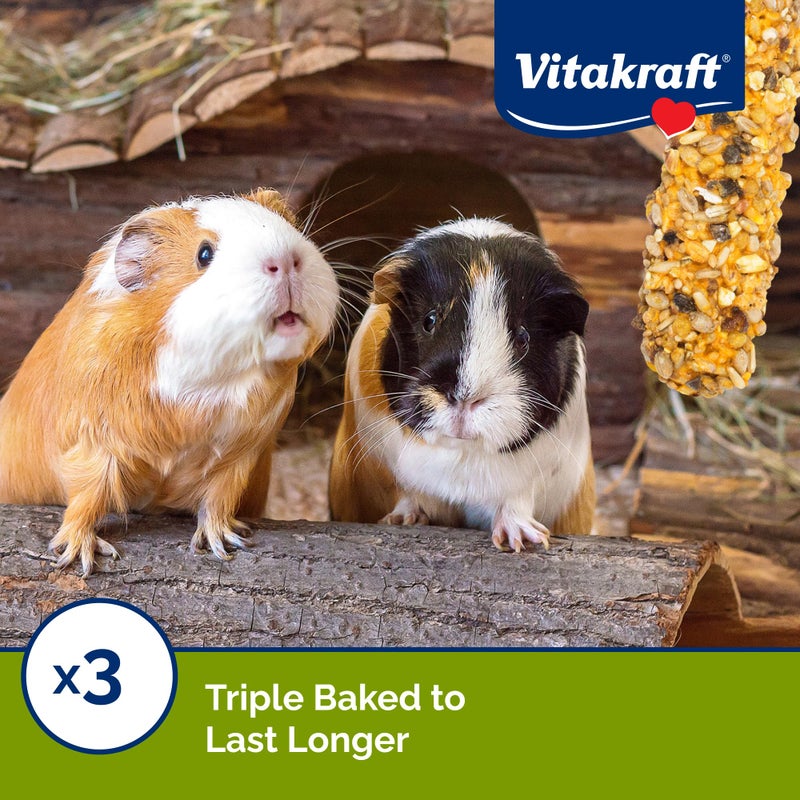 Vitakraft Guinea Pig Fruit & Honey Treat Sticks 2 Pack, 3.5 Ounce - Image 4