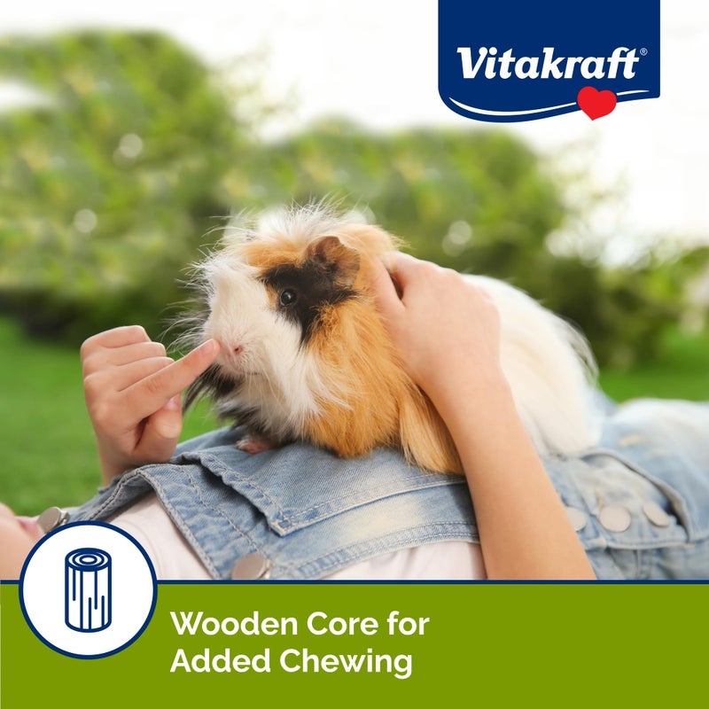 Vitakraft Guinea Pig Fruit & Honey Treat Sticks 2 Pack, 3.5 Ounce - Image 5