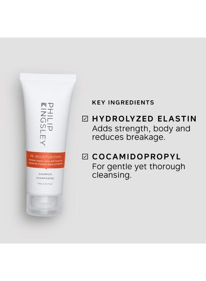 فيليب كينجزلي شامبو فيليب كينغسلي المرطب والمنعم 75 مل - Image 4
