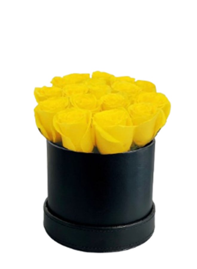 wardi Yellow Roses In Leather Box