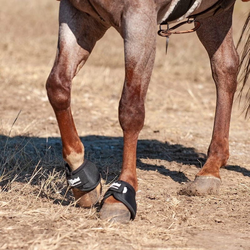 Cashel No Turn Bell Boots for Horses Equine  Pair XXSmall XSmall Small Mini Medium Large or XLarge Color Black or Hot Leaf Black Medium - Image 2