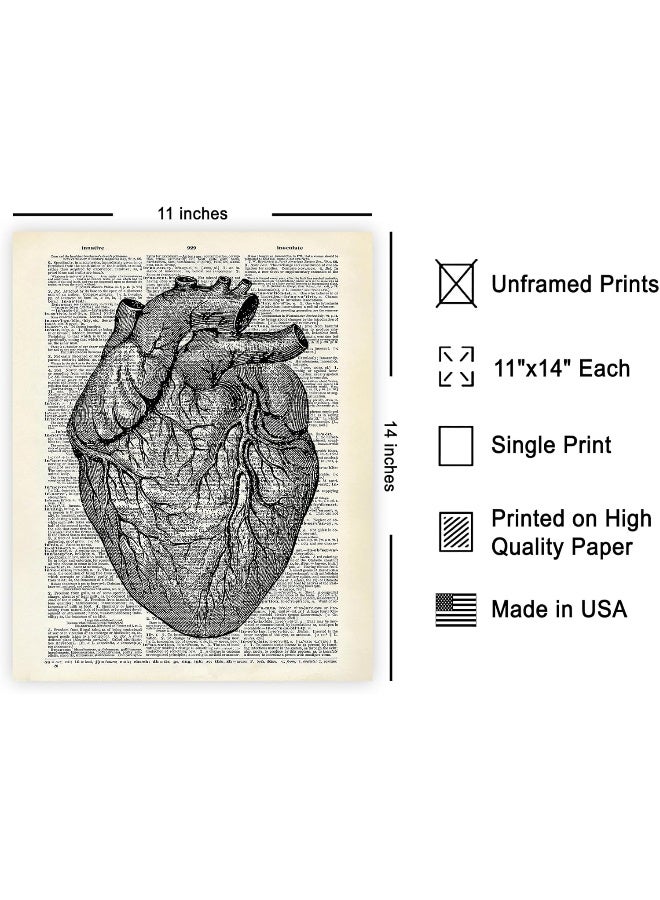 Poster Master Retro Heart Print - Anatomy Art - Anatomical Heart Art - Image 2