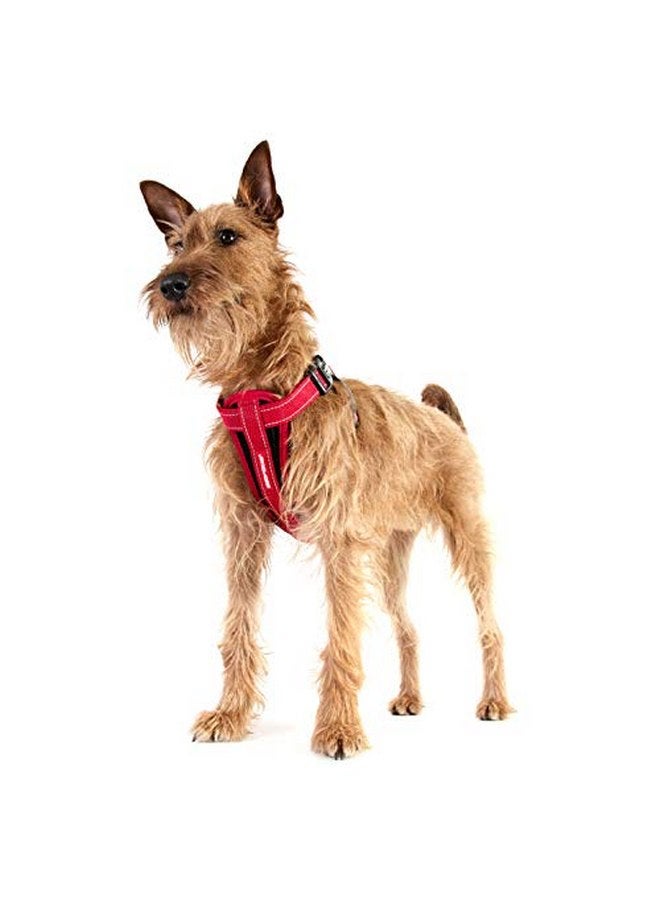 EzyDog Chest Plate Custom Fit Dog Harness (Large, Gray) - Image 4