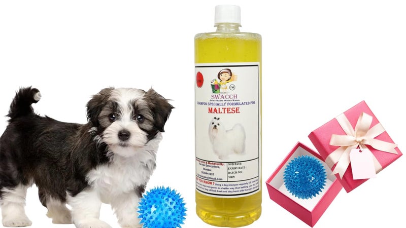 swacch Shampoo | Puppy Safe Shampoo | PH Balanced | Ditch to Itch for Maltese Dog Shampoo 1 Litre (Lemon) + Spike Ball Chew Toy Combo Pack - Image 1