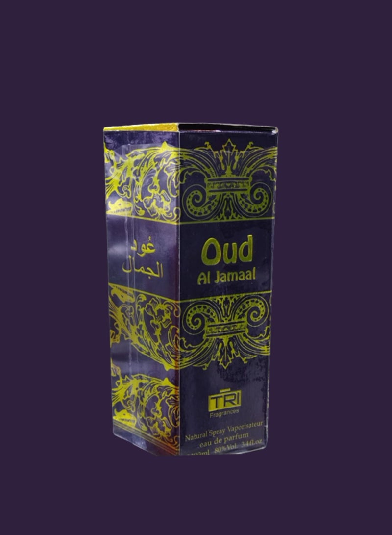 تي أر آي 2 قطع عود الجمال 100 مل EDP - Image 2