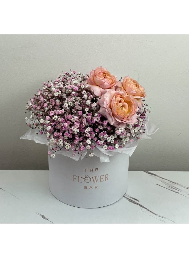Generic Pink Gypsophila And Rose Fresh Flowers 