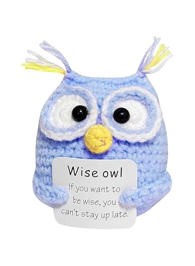 NIBEMINENT Positive Crochet Gifts, Crocheted Emotional Support Animal, Unique Birthday Gift for Shark Lovers Friends Women Men (Blue Owl) - Image 1