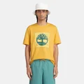 Timberland Yellow