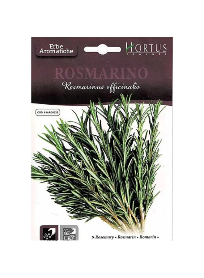 هورتس بذور خضروات هورتوس روزماري بذور عالية الجودة إيطاليا