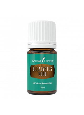 Young Living Eucalyptus Blue Premium Essential Oil Diffuser - 100% Pure, Cool & Refreshing Scent - Aromatherapy for Relaxation and Muscle Relief - 5ml Bottle - pzsku/Z53B9868B33EA9C492931Z/45/_/1728156482/d97c312e-ab65-406e-afaa-6d81ce6ede96