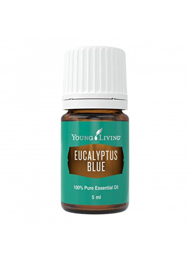 Young Living Eucalyptus Blue Premium Essential Oil Diffuser - 100% Pure, Cool & Refreshing Scent - Aromatherapy for Relaxation and Muscle Relief - 5ml Bottle