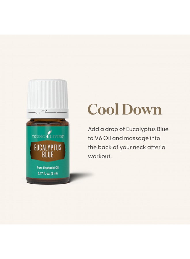 Young Living Eucalyptus Blue Premium Essential Oil Diffuser - 100% Pure, Cool & Refreshing Scent - Aromatherapy for Relaxation and Muscle Relief - 5ml Bottle
