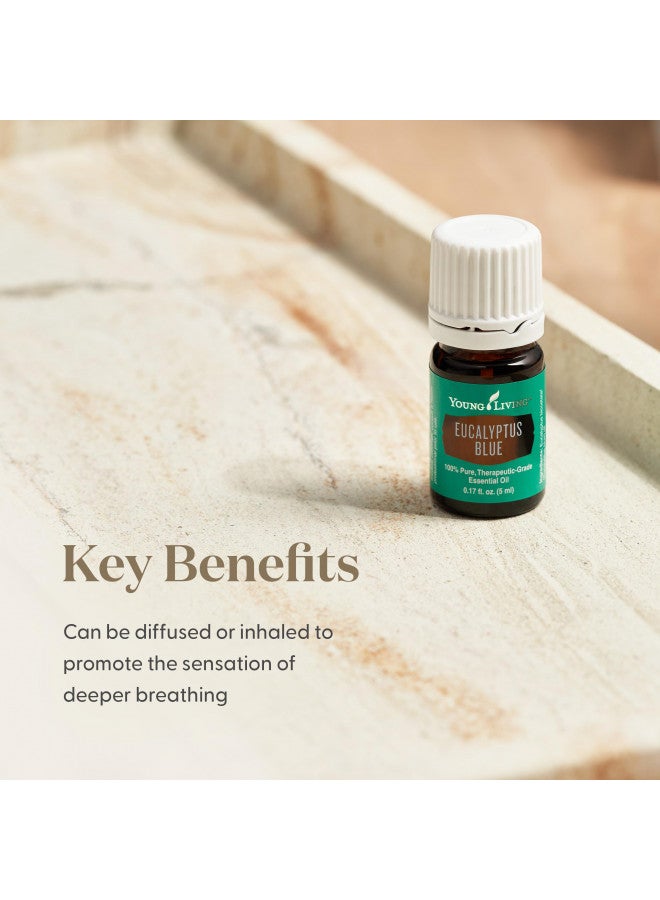 Young Living Eucalyptus Blue Premium Essential Oil Diffuser - 100% Pure, Cool & Refreshing Scent - Aromatherapy for Relaxation and Muscle Relief - 5ml Bottle