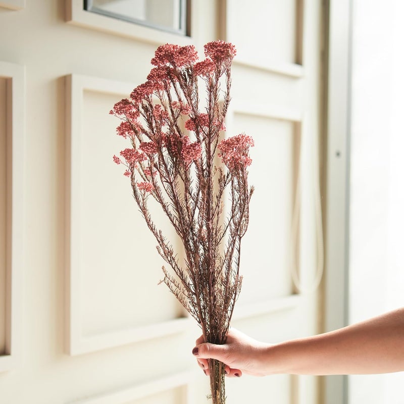 Arte Casa Arte Casa Dried Flower Rice FlowerLight Pink Lovely Flower Bunch Soft Pink Floral Arrangement Gift for Special Occasions Anniversary Valentine 3 Stems with Multiple Branch Light Pink  - Image 3