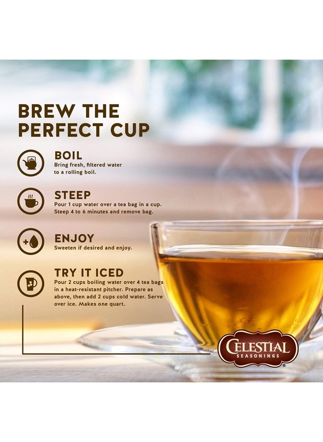 CELESTIAL SEASONINGS 100% Natural Lemon Zinger Herbal Tea 20 ct  - Image 5