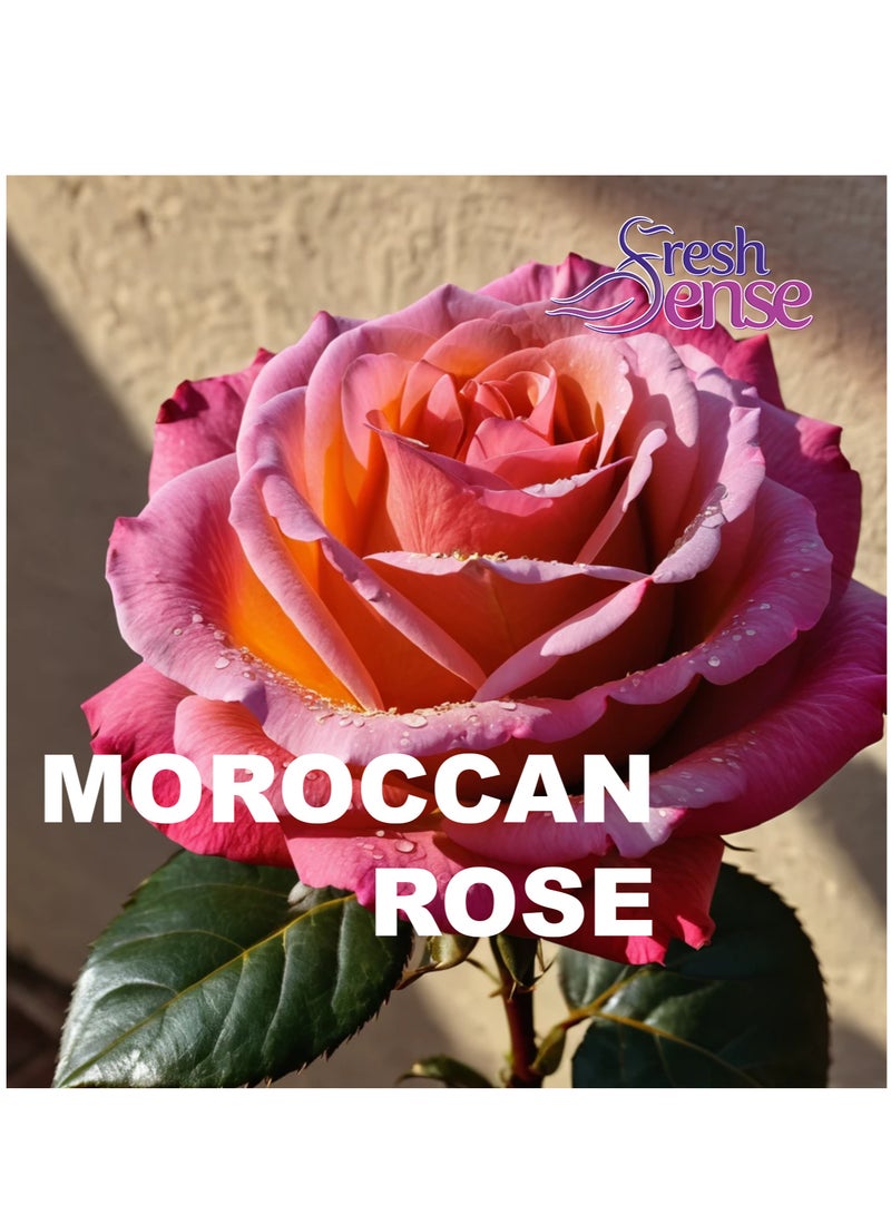 Fresh Sense ROSE Refill - PACK of 12 x 260ml - Automatic Spray Auto Spray Air Freshener for Home Bathroom Toilet Office Neutralizes Bad Odors FRESH SENSE - Image 2