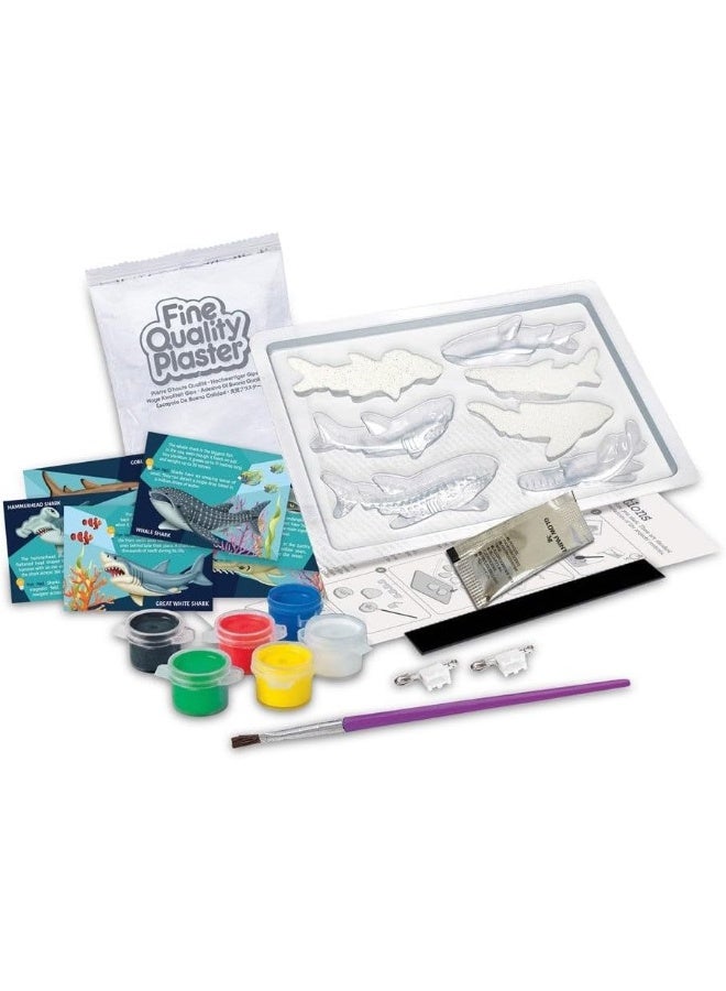4M Mould & Paint Sharks Kit – DIY Plaster Shark Magnets & Badges for Kids Ages 5+ | Cast and Paint 7 Shark Figures with Multicolored Paints, Magnets & Pins | Educational & Fun STEM Craft / Model 00-04785 - Image 5