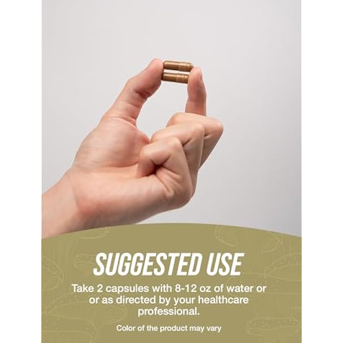 BulkSupplements.com Chaga Mushroom Extract Capsules - Chaga Extract, Chaga Mushrooms - Vegan & Gluten Free, 2 Capsules per Serving (1000mg), 360 Count (Pack of 1) - Image 4