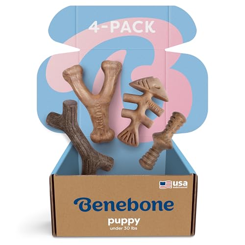 Benebone Puppy 4Pack Dog Chew Toys Made in USA 30lbs and Under for Modest Chewers - Image 1