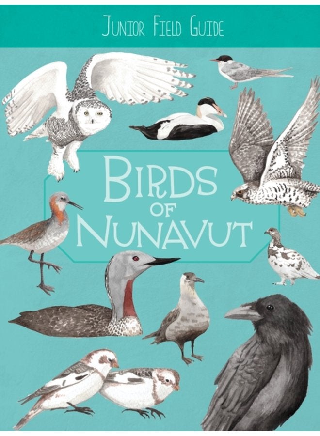 Junior Field Guide Birds of Nunavut English Edition - Paperback