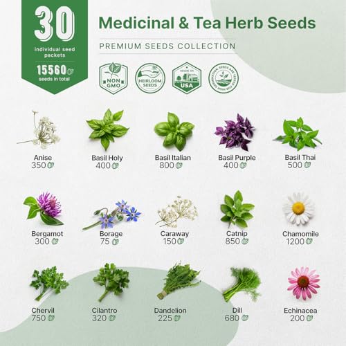 Organo Republic 30 Medicinal & Tea Herb Seeds Variety Pack 15,560+ Non-GMO Heirloom Garden Seeds for Indoor & Outdoors, Including Anise, Bergamot, Borage, Cilantro, Chamomile, Dandelion Seeds - Image 3