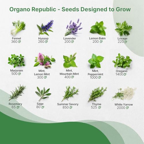 Organo Republic 30 Medicinal & Tea Herb Seeds Variety Pack 15,560+ Non-GMO Heirloom Garden Seeds for Indoor & Outdoors, Including Anise, Bergamot, Borage, Cilantro, Chamomile, Dandelion Seeds - Image 4