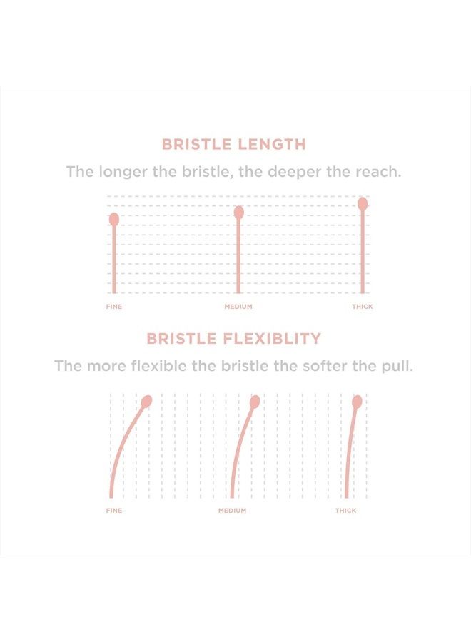 Gimme Beauty - Medium Hair Brush - Damage-Free Detangling Brush - Hair Brush for All Hair Types with Anti-Static, Heat-Resistant, & Flexible Nylon Bristles - Detangler Brush for Women & Kids - Image 4