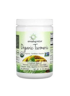 Organic Turmeric 16 oz 454 g - pzsku/Z53C0B60DABC38EA13B02Z/45/_/1701141998/11548f83-c6ac-46db-803a-86fee91afb26