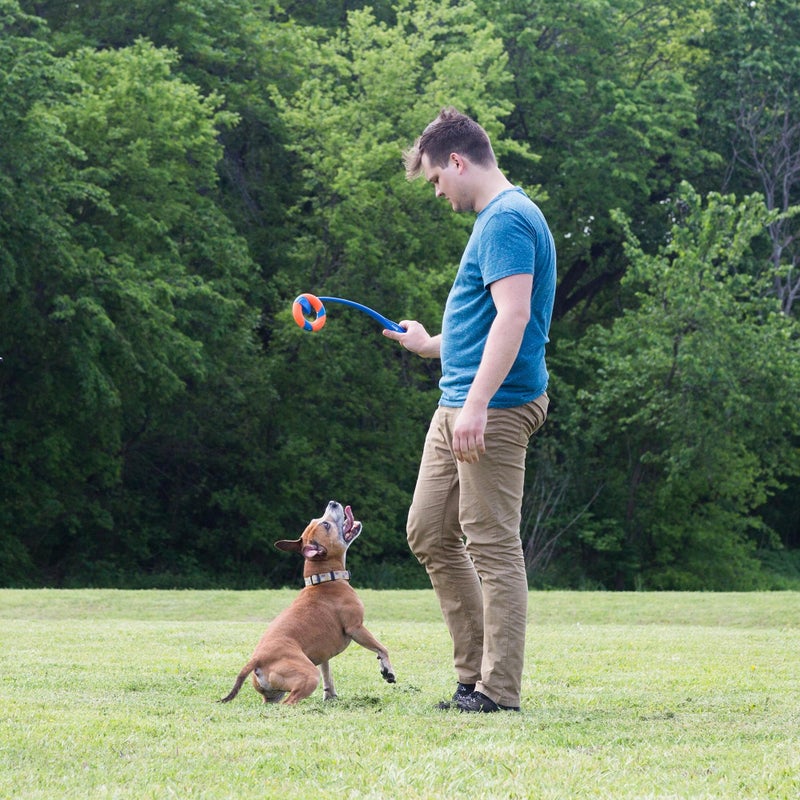 Chuckit! Ring Chaser Dog Ball Launcher Dog Toy Set, 22 Inch Length with 4.5 Inch Dog Ball Ring - Image 4