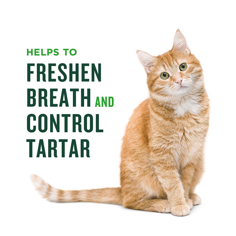 Minties Dental Treats for Cats, Chicken Flavored Cat Dental Treats, Freshens Breath and Controls Tartar, 10oz - Image 4