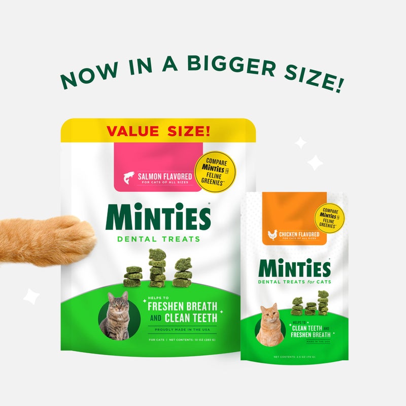 Minties Dental Treats for Cats, Chicken Flavored Cat Dental Treats, Freshens Breath and Controls Tartar, 10oz - Image 2