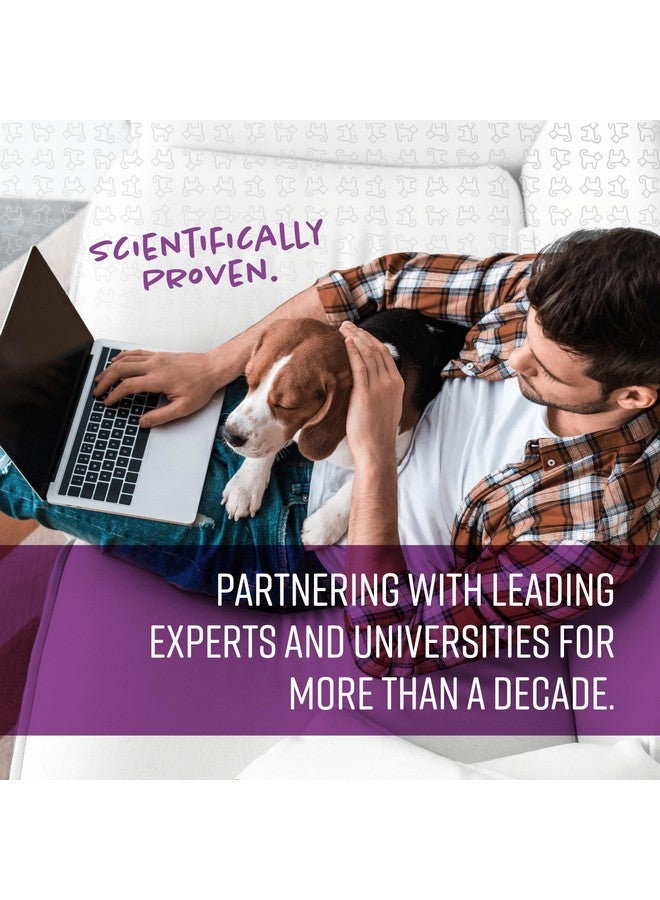 SENTRY PET Care Sentry Calming Collar for Dogs, Anxiety Reducing Pheromone Collar, Releases Pheromones for 30 Days, Helps Calm During Loud Noises and Separation, 1 Count, Purple - Image 5