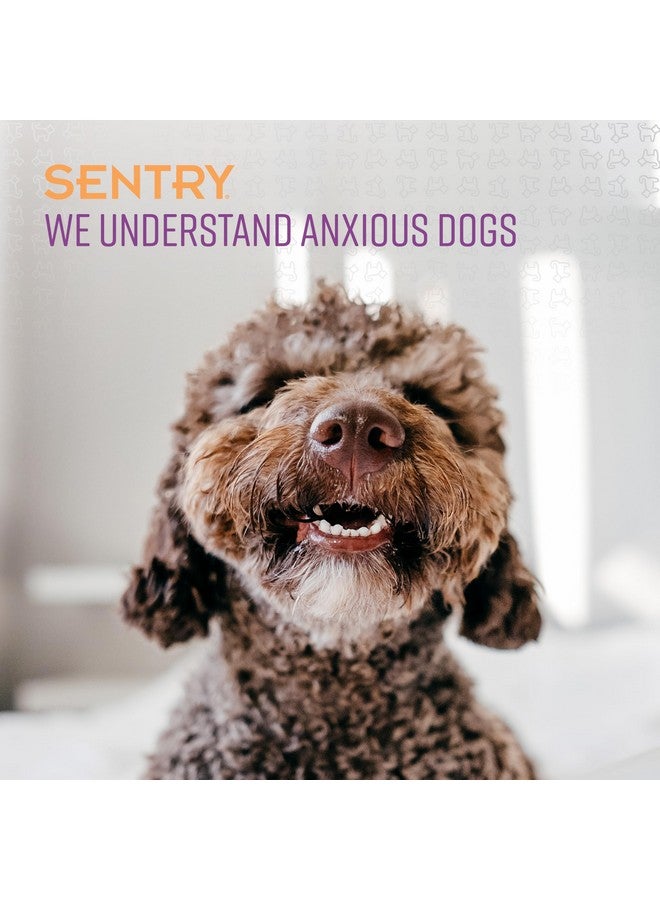 SENTRY PET Care Sentry Calming Collar for Dogs, Anxiety Reducing Pheromone Collar, Releases Pheromones for 30 Days, Helps Calm During Loud Noises and Separation, 1 Count, Purple - Image 4