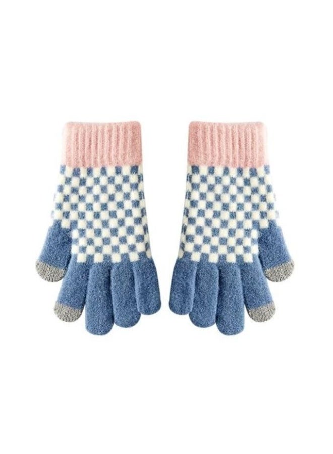 Winter Touchscreen Gloves - blue & Pink