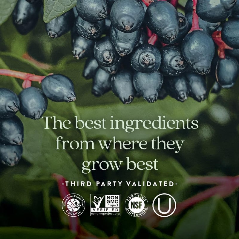 New Chapter Zinc Supplement, New Chapter Fermented Zinc Complex, ONE Daily for Immune Support + Skin Health + Non-GMO Ingredients, Easy to Swallow & Digest, 60 Count (2 Month Supply) - Image 5