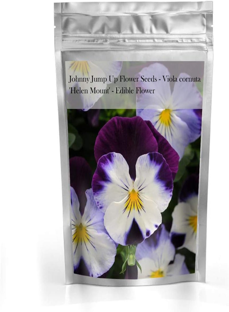 GGOOT Johnny Jump Up Flower Seeds - Viola cornuta 'Helen Mount' - Edible Flower - Image 2