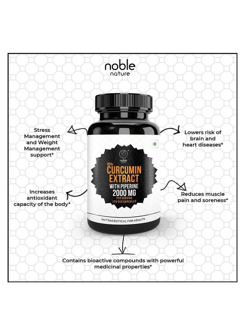 noble nature - Turmeric Curcumin 95% Extract with Piperine 2000 MG Per Serving 120 Veg Capsules - Joint & General Wellness Support - Image 1