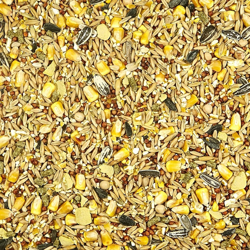 Kaytee Backyard Wildlife Food Blend For Wild Squirrels, Chipmunks, Rabbits and Other Backyard Wildlife, 5 Pound - Image 4