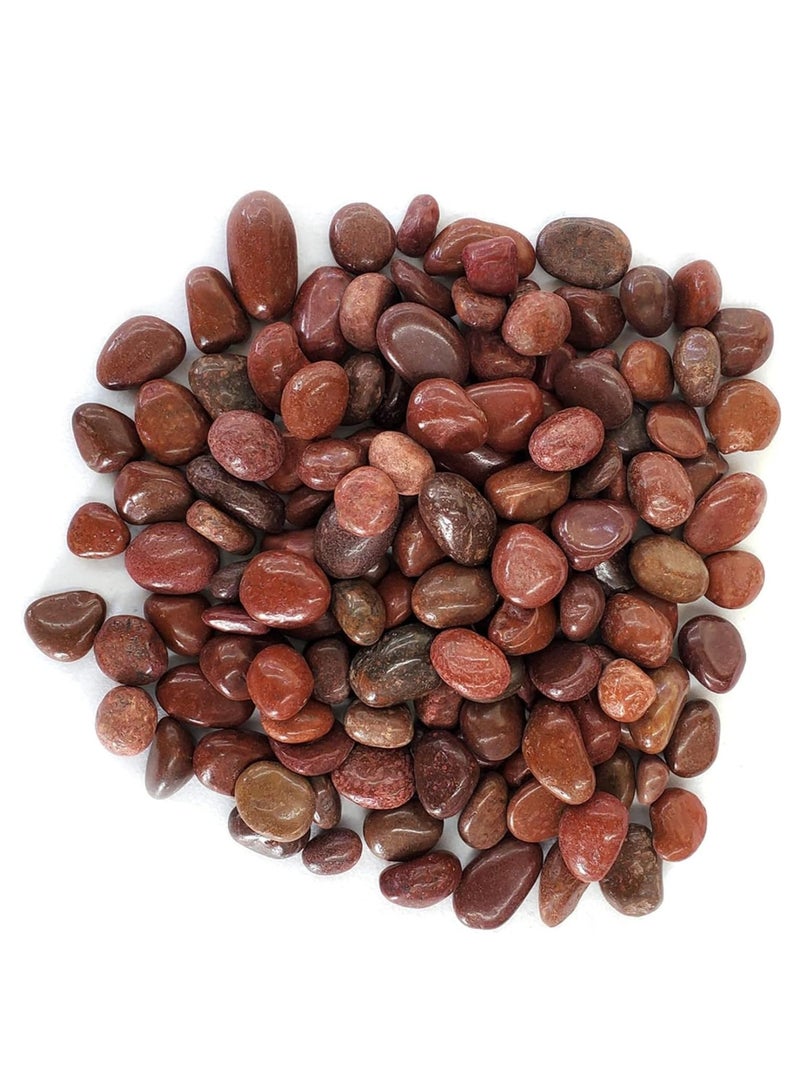 ڤسيل24 حصى نهرية حمراء كبيرة جدًا (5–8 سم) – أحجار طبيعية ديكورية للمنزل، الحديقة، المزهريات والحوض - Image 1