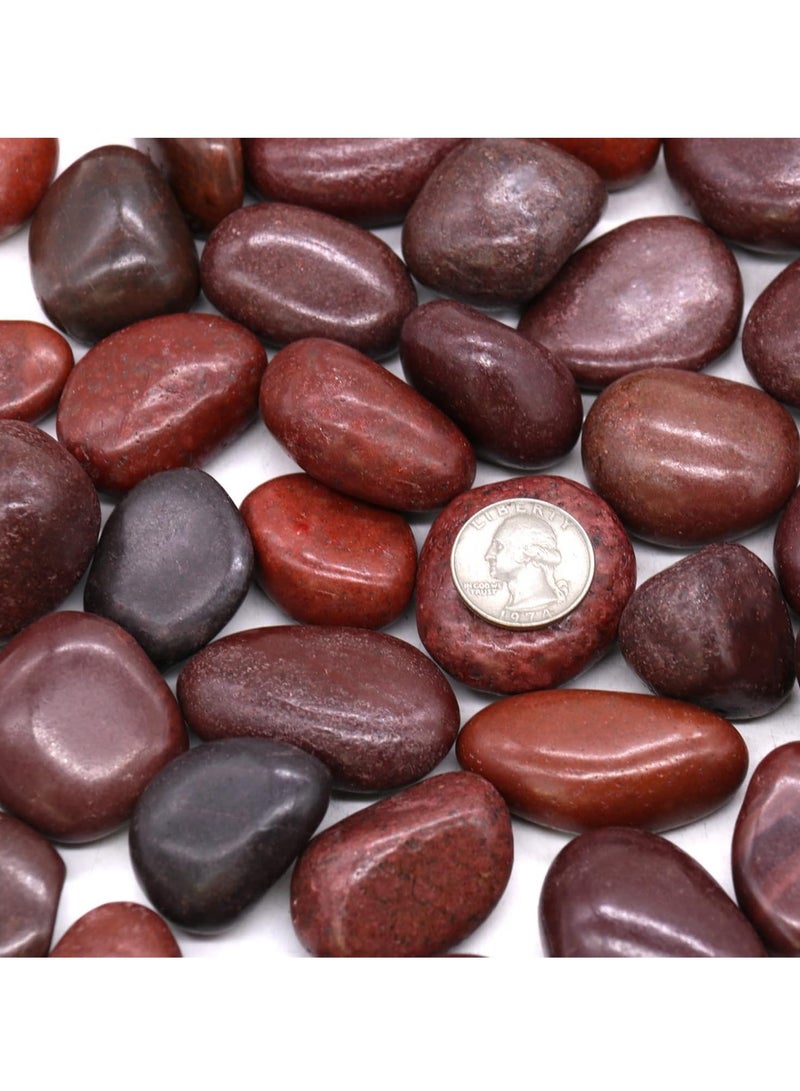 ڤسيل24 حصى نهرية حمراء كبيرة جدًا (5–8 سم) – أحجار طبيعية ديكورية للمنزل، الحديقة، المزهريات والحوض - Image 2