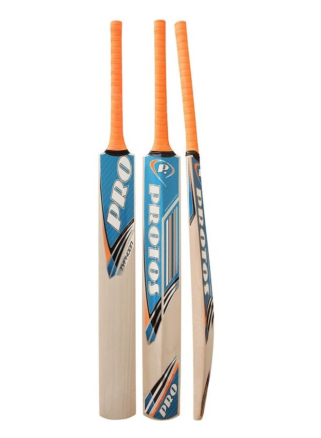 Protos Typhoon Cricket Bat || Full Size Bat || All Age Group || Standard Size || Kashmir Willow Bat || Tournament || Club || Match Level || Kashmir Willow Cricket Bat || - Image 1