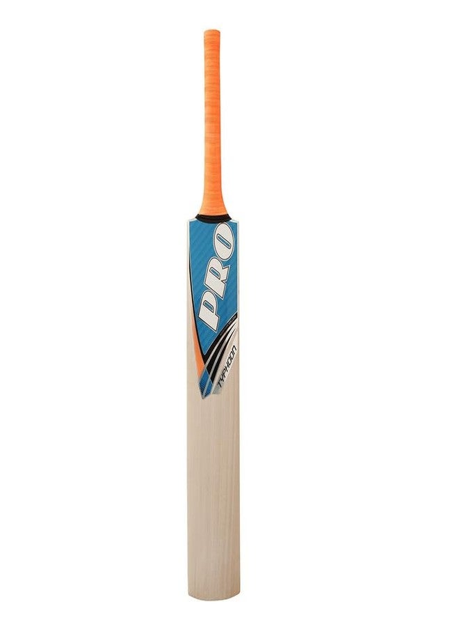 Protos Typhoon Cricket Bat || Full Size Bat || All Age Group || Standard Size || Kashmir Willow Bat || Tournament || Club || Match Level || Kashmir Willow Cricket Bat || - Image 3
