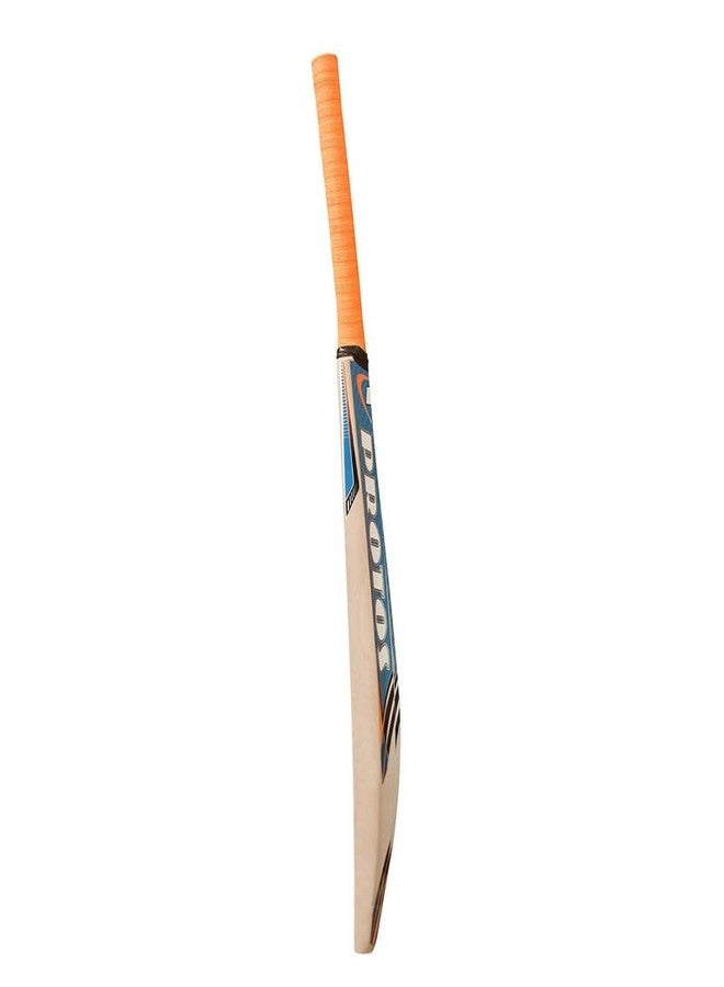 Protos Typhoon Cricket Bat || Full Size Bat || All Age Group || Standard Size || Kashmir Willow Bat || Tournament || Club || Match Level || Kashmir Willow Cricket Bat || - Image 5