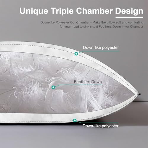 APSMILE Medium Firm Feathers Down Pillow Queen Size Set of 2, Luxury Feathers Pillow for Sleeping, 100% Organic Cotton Cover Hotel Bed Pillow for Side Sleeper (White, 20"x30") - Image 5