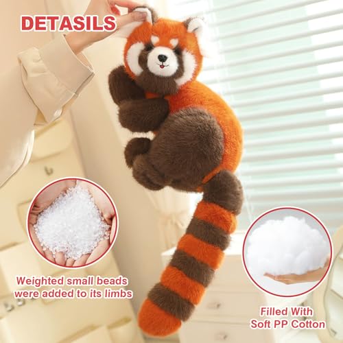 Ditucu Red Panda Stuffed Animal Realistic Plush Toys Cute Hugging Plushies Gifts for Kids 10 inch - Image 5