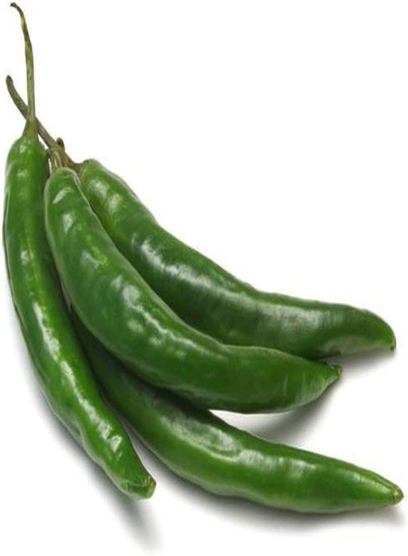 جي جوت 25 بذرة من بذور الفلفل الحار الأخضر الطويل لحديقة المطبخ - Image 1